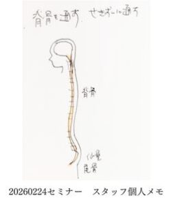 ボディフォーカス瞑想（仮称）レクチャー なぜ「背骨」に通すのか 骨に〇〇されている 背骨から全身に〇〇が行きわたっている