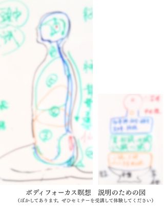 ボディフォーカス瞑想　説明のための人体図とイメージ図　覚醒セミナー